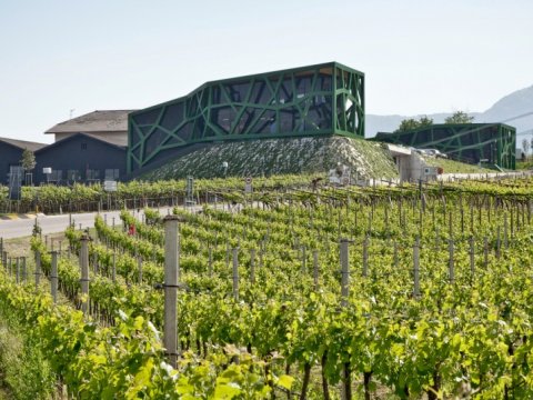 Kellerei Tramin